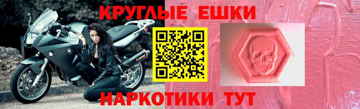 ЭКСТАЗИ Philipp Plein Грозный