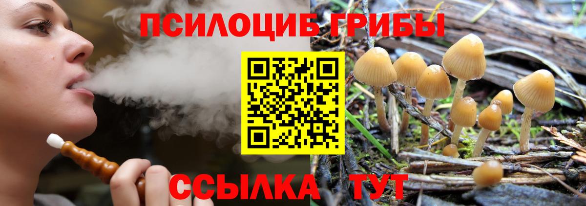 Галлюциногенные грибы GOLDEN TEACHER Грозный