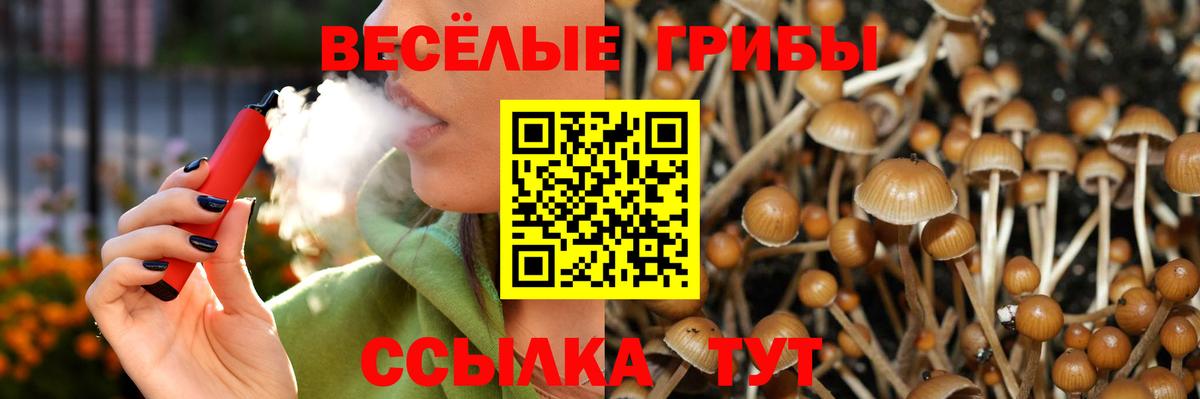 Грозный  Галлюциногенные грибы мицелий  Вход с VPN 